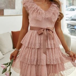 Dusty pink dress. Sleeveless w/ruffle neck detail, Swiss dot. Size large 10/12